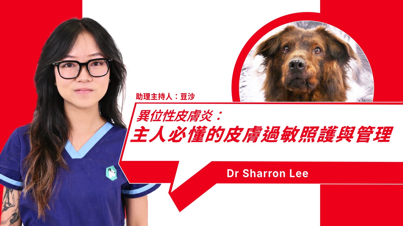 Pet Atopic Dermatitis: Causes, Symptoms, Treatment, and Daily Care